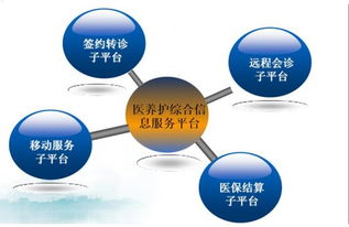 互聯(lián)網(wǎng)益民服務的杭州樣本 數(shù)字化重塑便民生態(tài)