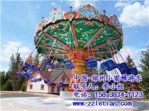 探秘新款大型游樂設備 小蜜蜂游樂的高清寶典